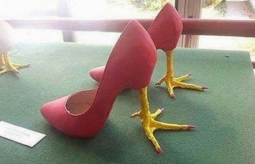 کفش تق تقی مرغی