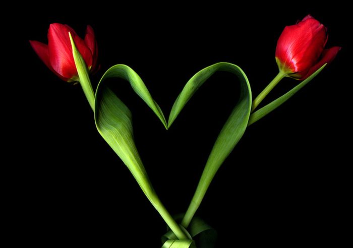 تصاویر و عکسهای عاشقانه از مدلهای زیبای قلب شماره 1