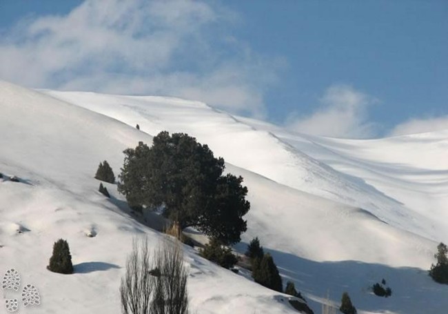 تصاویر و عکسهای بی نظیراز سراسر ایران