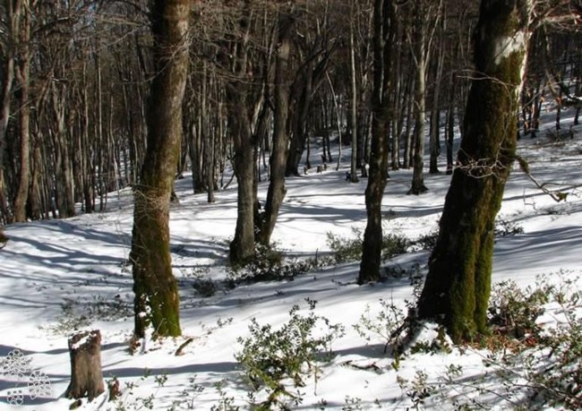 تصاویر و عکسهای بی نظیراز سراسر ایران