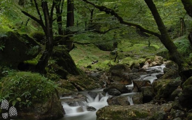 تصاویر و عکسهای بی نظیراز سراسر ایران