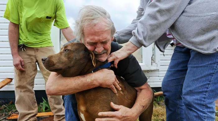 6. Greg Cook hugs his dog Coco after finding her inside his destroyed home in Alabama following the Tornado in March, 2012